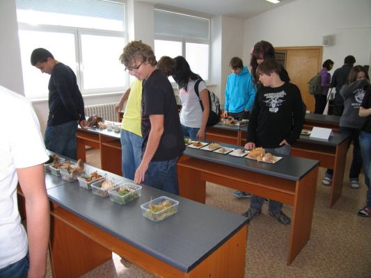 Klikněte pro zobrazení původního (velkého) obrázku