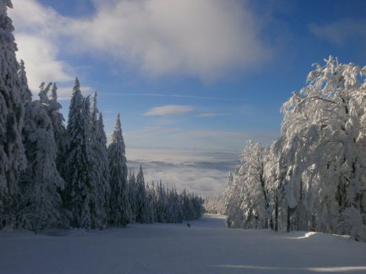Klikněte pro zobrazení původního (velkého) obrázku