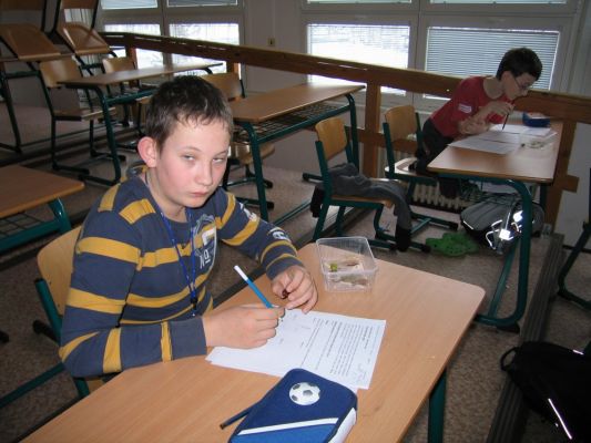 Klikněte pro zobrazení původního (velkého) obrázku