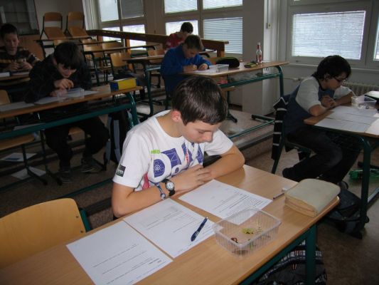 Klikněte pro zobrazení původního (velkého) obrázku