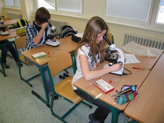 Klikněte pro zobrazení původního (velkého) obrázku