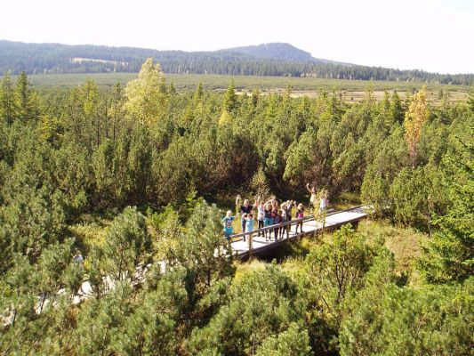 Klikněte pro zobrazení původního (velkého) obrázku