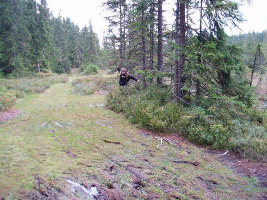Klikněte pro zobrazení původního (velkého) obrázku