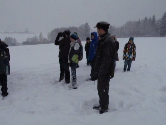 Klikněte pro zobrazení původního (velkého) obrázku