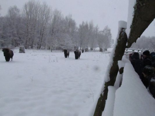 Klikněte pro zobrazení původního (velkého) obrázku