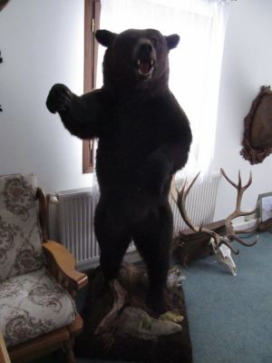 Klikněte pro zobrazení původního (velkého) obrázku