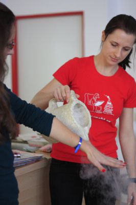 Klikněte pro zobrazení původního (velkého) obrázku