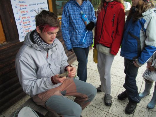 Klikněte pro zobrazení původního (velkého) obrázku