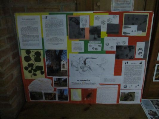 Klikněte pro zobrazení původního (velkého) obrázku