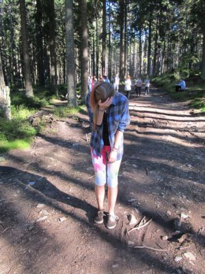 Klikněte pro zobrazení původního (velkého) obrázku