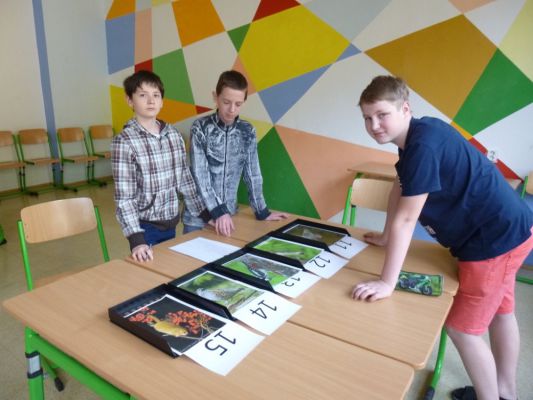 Klikněte pro zobrazení původního (velkého) obrázku