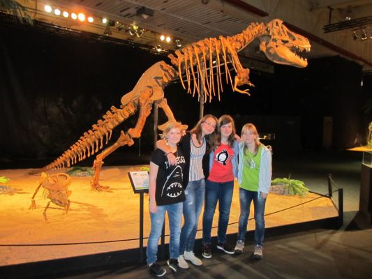 Klikněte pro zobrazení původního (velkého) obrázku