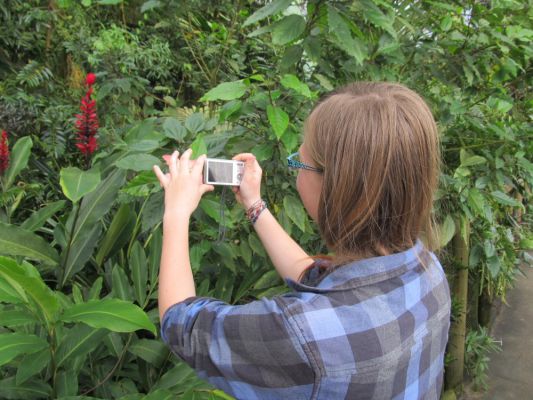 Klikněte pro zobrazení původního (velkého) obrázku