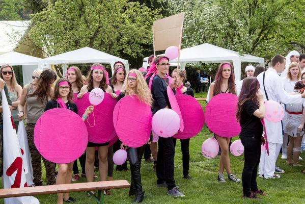 Klikněte pro zobrazení původního (velkého) obrázku