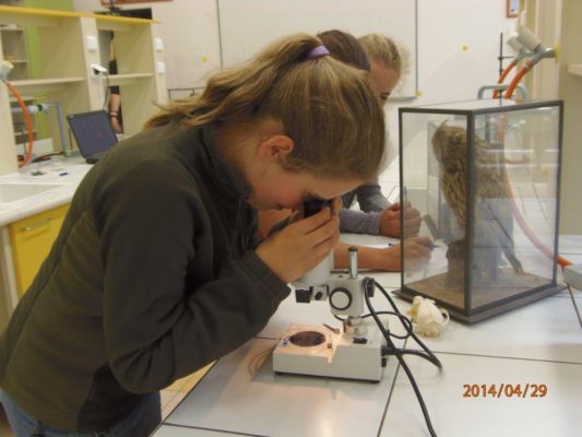 Klikněte pro zobrazení původního (velkého) obrázku