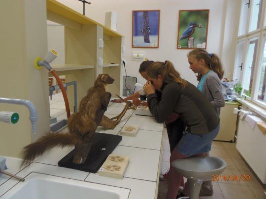 Klikněte pro zobrazení původního (velkého) obrázku