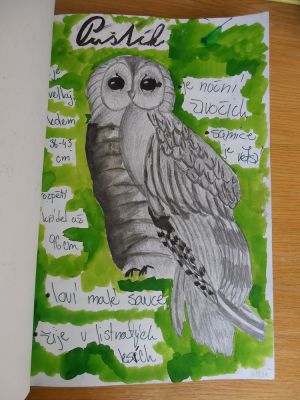 Klikněte pro zobrazení původního (velkého) obrázku