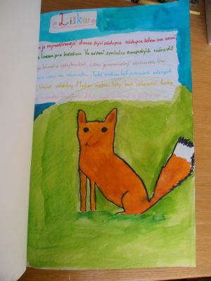 Klikněte pro zobrazení původního (velkého) obrázku