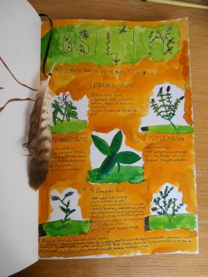 Klikněte pro zobrazení původního (velkého) obrázku