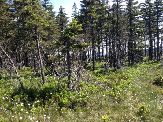 Klikněte pro zobrazení původního (velkého) obrázku