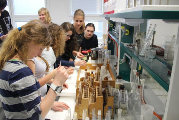 Klikněte pro zobrazení původního (velkého) obrázku