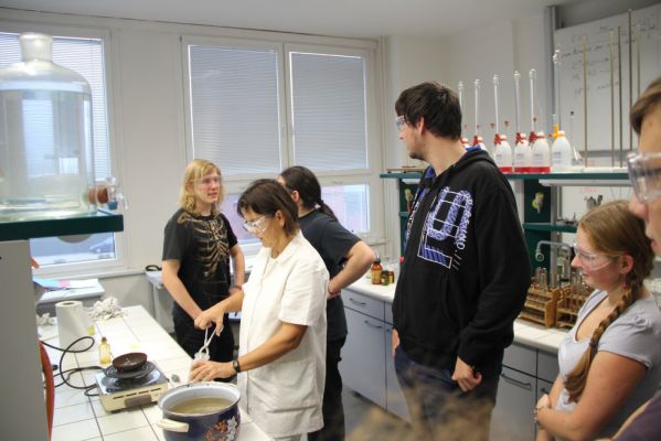 Klikněte pro zobrazení původního (velkého) obrázku