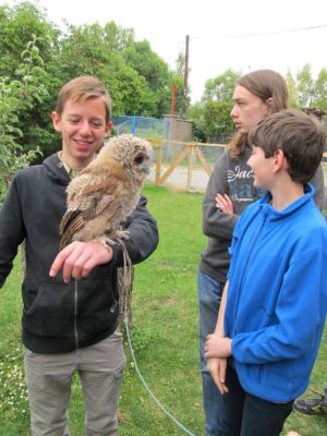 Klikněte pro zobrazení původního (velkého) obrázku