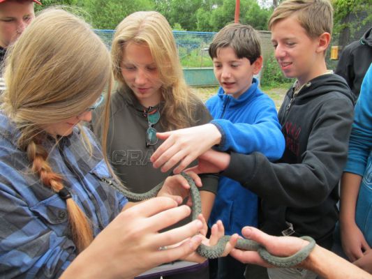 Klikněte pro zobrazení původního (velkého) obrázku