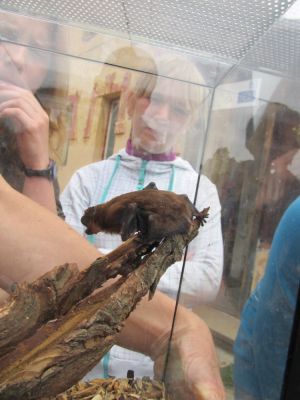 Klikněte pro zobrazení původního (velkého) obrázku