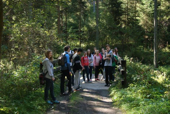 Klikněte pro zobrazení původního (velkého) obrázku