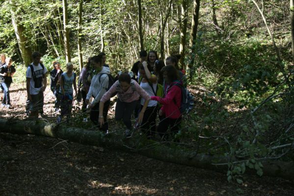 Klikněte pro zobrazení původního (velkého) obrázku