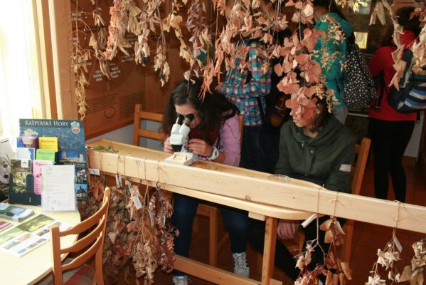 Klikněte pro zobrazení původního (velkého) obrázku