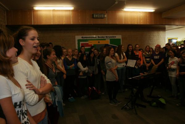 Klikněte pro zobrazení původního (velkého) obrázku