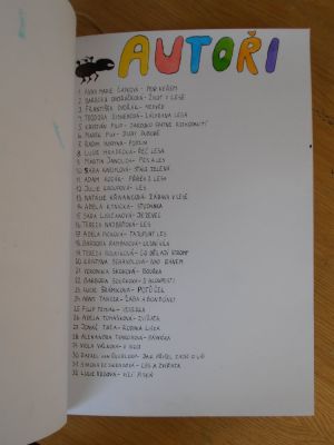 Klikněte pro zobrazení původního (velkého) obrázku