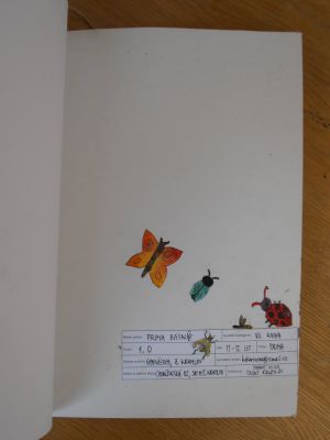 Klikněte pro zobrazení původního (velkého) obrázku