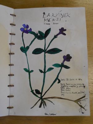 Klikněte pro zobrazení původního (velkého) obrázku