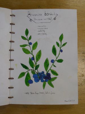 Klikněte pro zobrazení původního (velkého) obrázku