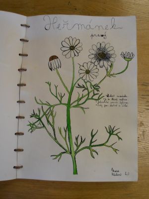 Klikněte pro zobrazení původního (velkého) obrázku