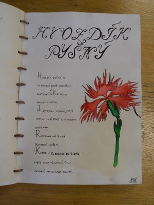 Klikněte pro zobrazení původního (velkého) obrázku