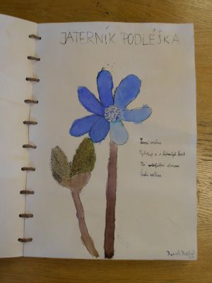 Klikněte pro zobrazení původního (velkého) obrázku