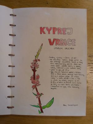 Klikněte pro zobrazení původního (velkého) obrázku