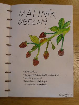 Klikněte pro zobrazení původního (velkého) obrázku