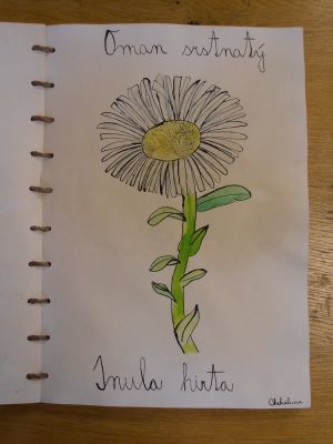 Klikněte pro zobrazení původního (velkého) obrázku