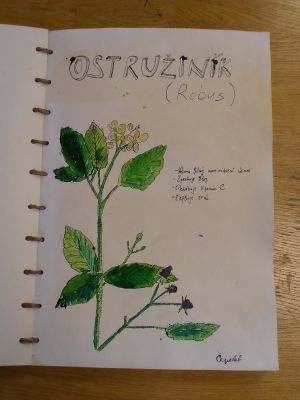 Klikněte pro zobrazení původního (velkého) obrázku