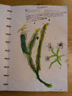 Klikněte pro zobrazení původního (velkého) obrázku