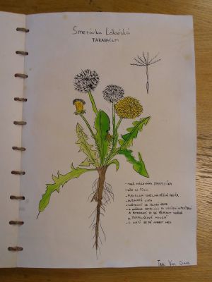 Klikněte pro zobrazení původního (velkého) obrázku