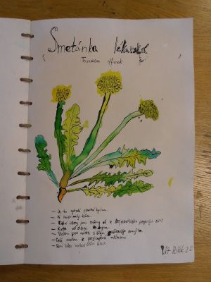 Klikněte pro zobrazení původního (velkého) obrázku