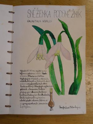 Klikněte pro zobrazení původního (velkého) obrázku