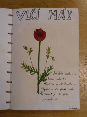 Klikněte pro zobrazení původního (velkého) obrázku