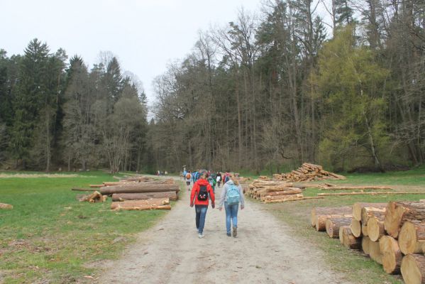 Klikněte pro zobrazení původního (velkého) obrázku